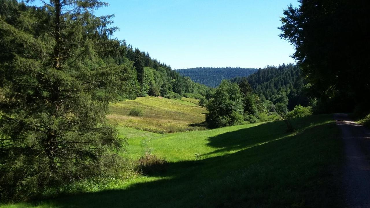 Meisterhaus Alpirsbach Loft Buitenkant foto
